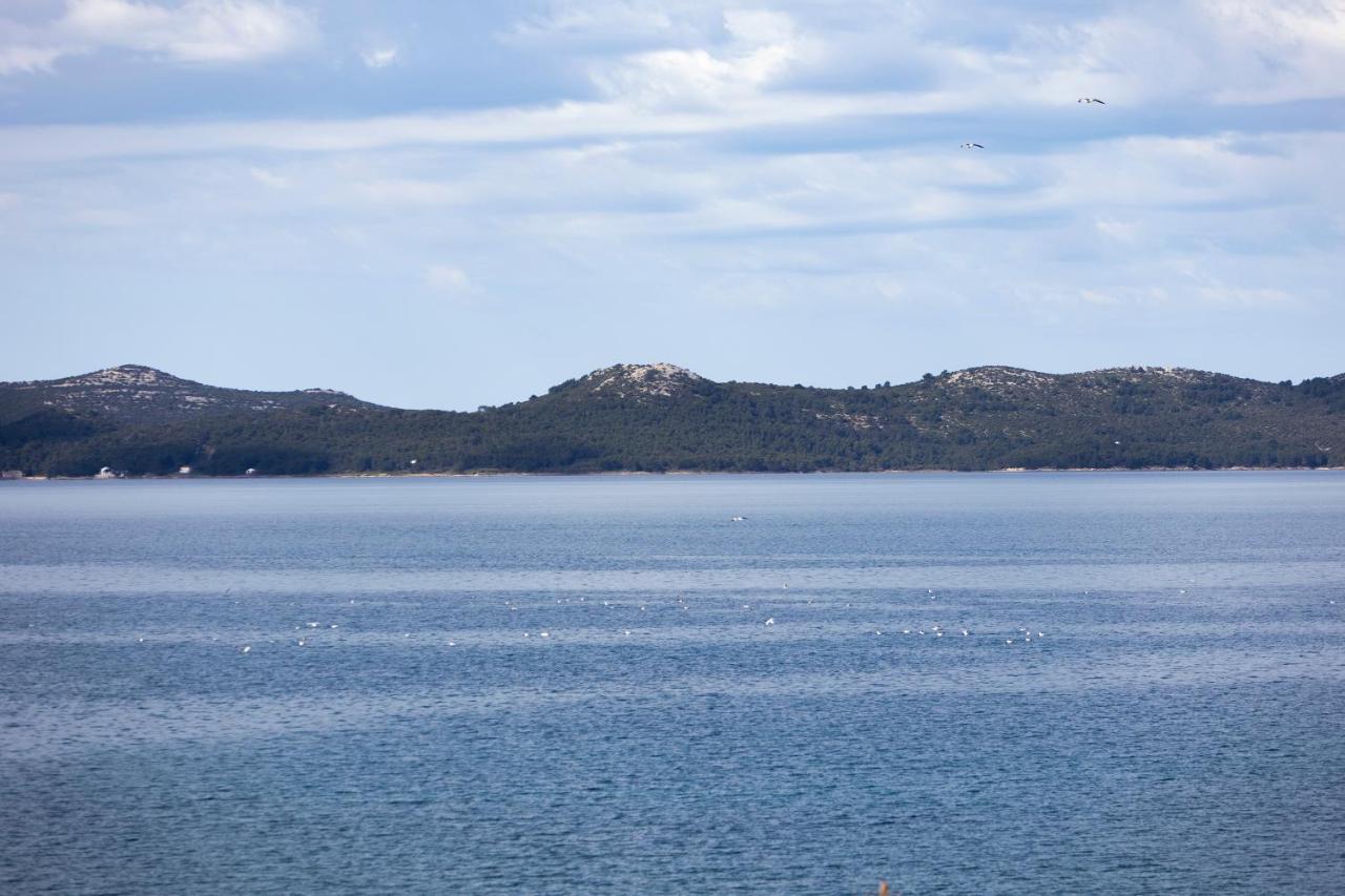 Basioli *