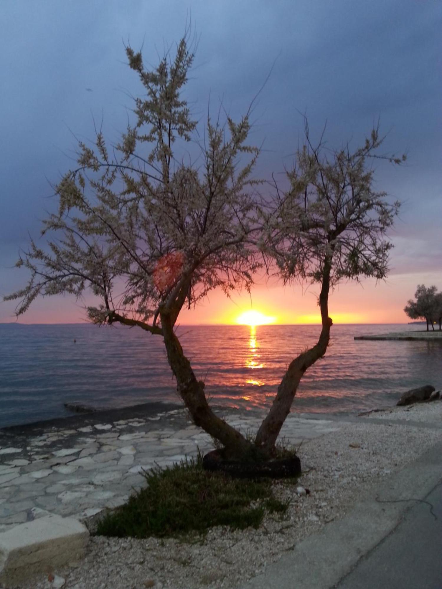 Basioli * Zadar