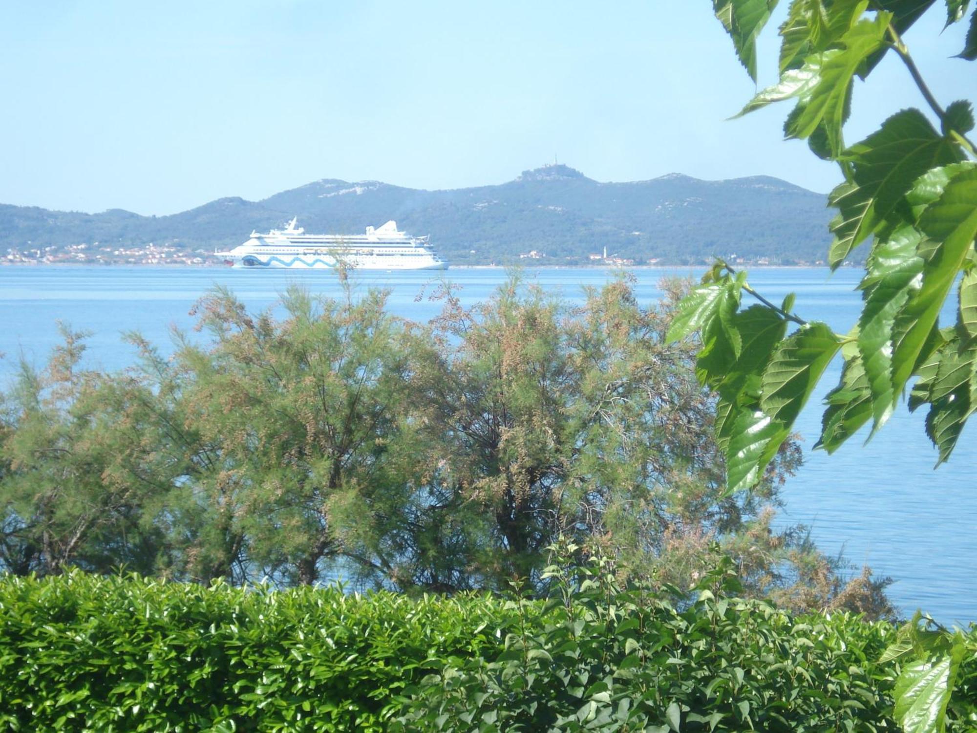 Apartment Basioli