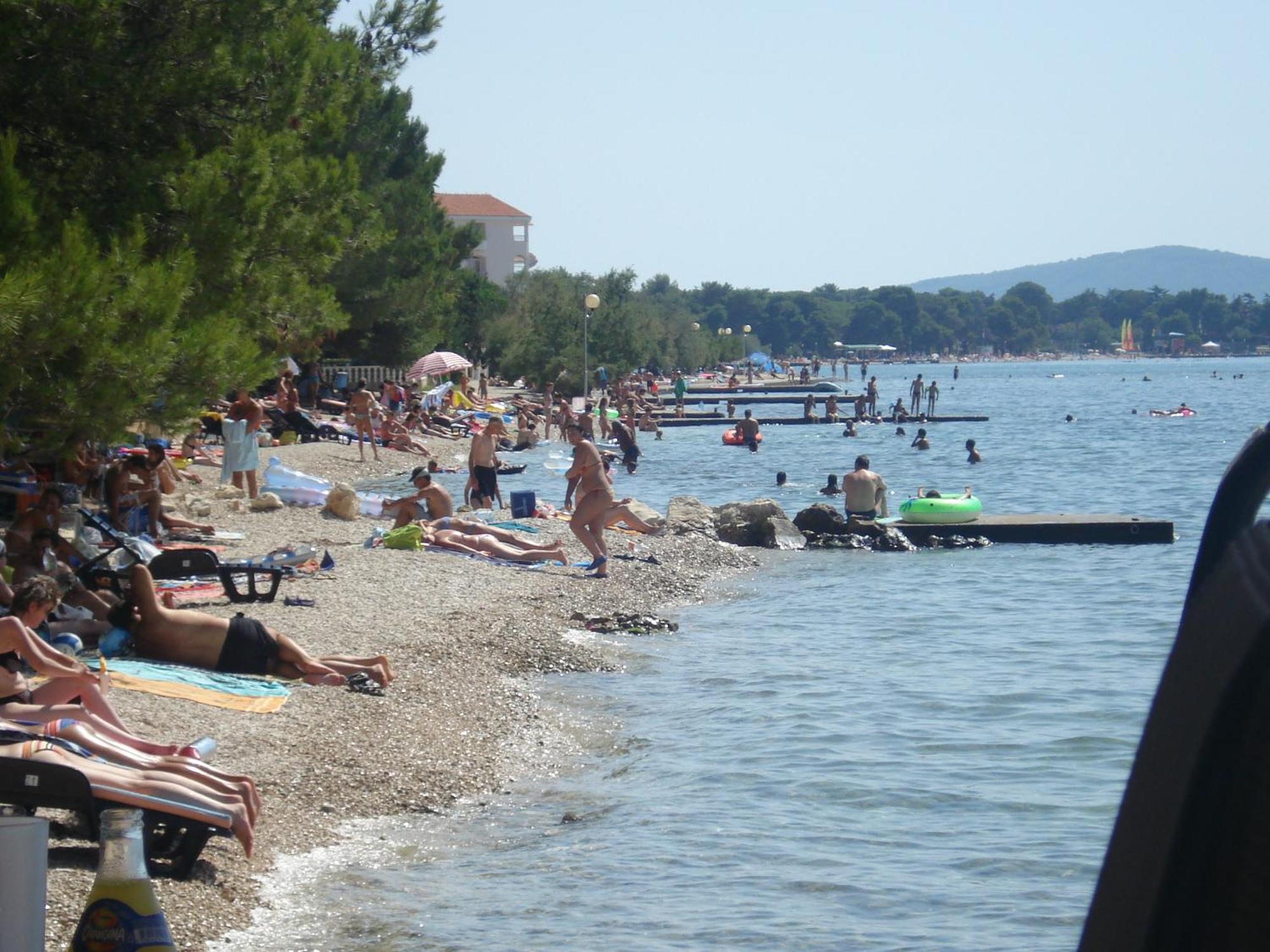Basioli *